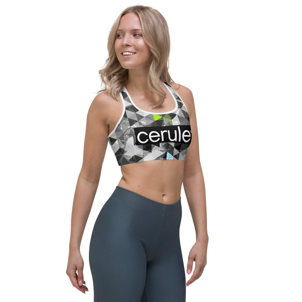 Cerule Sports Bra Tri-Color